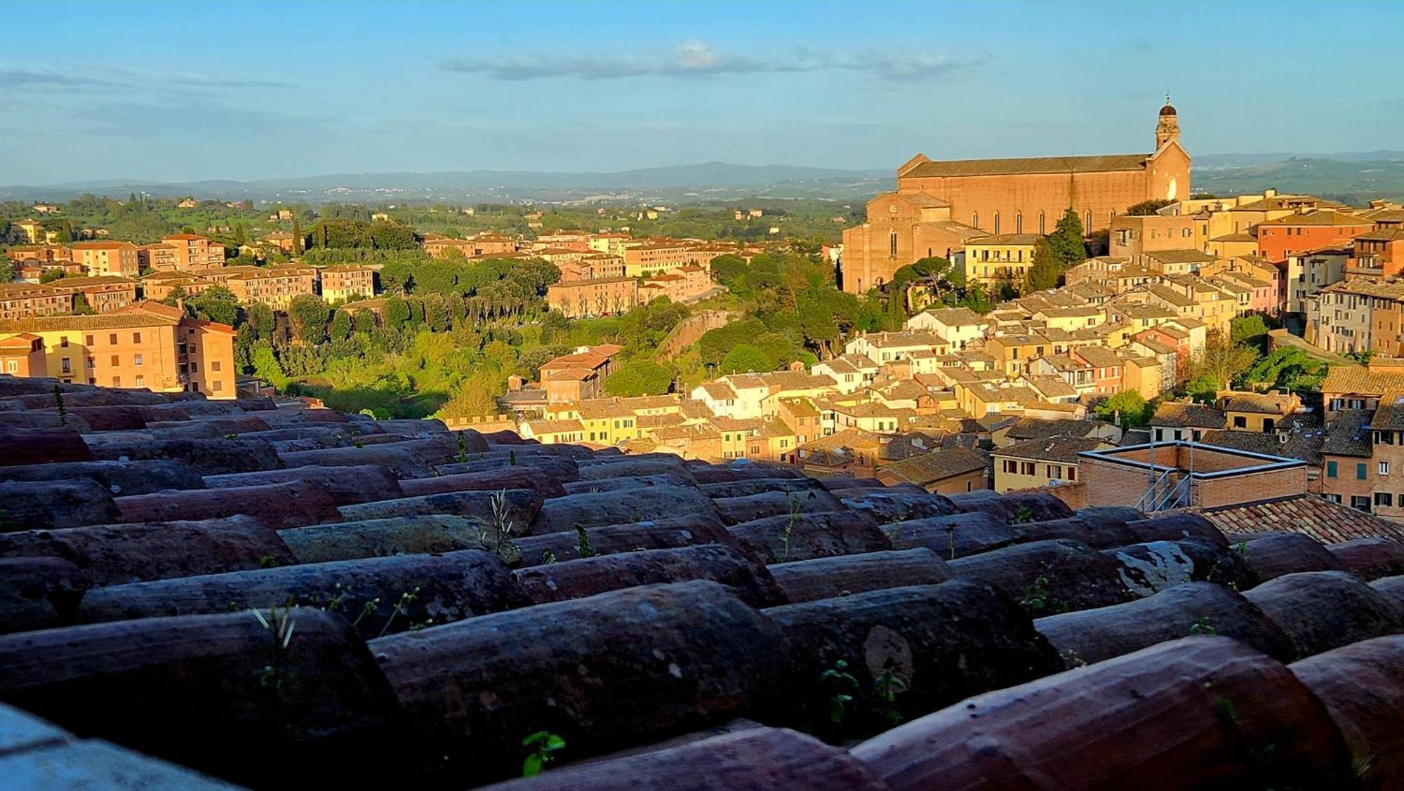La Dimora Di Amedeo Daire Siena Dış mekan fotoğraf